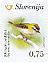 Common Firecrest Regulus ignicapilla  2016 Birds sa