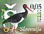 Black Stork Ciconia nigra  2017 Birds sa