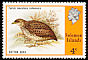 Red-backed Buttonquail Turnix maculosus  1976 Definitives 