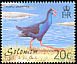 Australasian Swamphen Porphyrio melanotus  2001 Birds definitives 