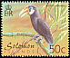 Blyth's Hornbill Rhyticeros plicatus  2001 Birds definitives 