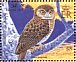 West Solomons Owl Athene jacquinoti  2004 BirdLife International, owls and nightjars Sheet