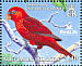 Cardinal Lory Pseudeos cardinalis  2005 BirdLife International, parrots Sheet