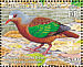 Stephan's Emerald Dove Chalcophaps stephani  2005 BirdLife International, pigeons Sheet