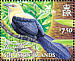 Buff-headed Coucal Centropus milo  2005 BirdLife International Sheet