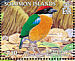 Black-faced Pitta Pitta anerythra  2005 BirdLife International Sheet