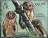 West Solomons Owl Athene jacquinoti  2012 Owls Sheet
