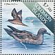 Wedge-tailed Shearwater Ardenna pacifica  2013 Water birds Sheet