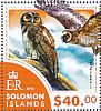Brown Wood Owl Strix leptogrammica