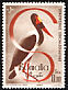 Saddle-billed Stork Ephippiorhynchus senegalensis  1959 Somali water birds 