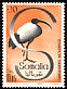 African Sacred Ibis Threskiornis aethiopicus  1959 Somali water birds 