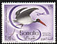 Black Stork Ciconia nigra  1959 Somali water birds 