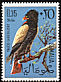 Bateleur Terathopius ecaudatus  1966 Somali birds 