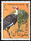 Vulturine Guineafowl Acryllium vulturinum  1966 Somali birds 