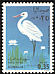 Great Egret Ardea alba  1968 Birds 