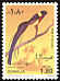 Long-tailed Paradise Whydah Vidua paradisaea  1968 Birds 
