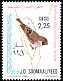 Somali Golden-winged Grosbeak Rhynchostruthus louisae  1980 Birds p 13½x14