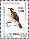 Red-naped Bushshrike Laniarius ruficeps  1980 Birds Sheet, p 14x14½
