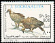 White-backed Vulture Gyps africanus  1993 Birds 