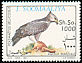 Martial Eagle Polemaetus bellicosus  1993 Birds 