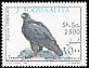 Verreaux's Eagle Aquila verreauxii  1993 Birds 