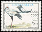 Secretarybird Sagittarius serpentarius  1993 Birds 