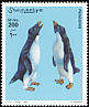 Adelie Penguin Pygoscelis adeliae  2001 Penguins 