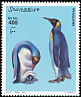King Penguin Aptenodytes patagonicus  2001 Penguins 