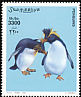 Southern Rockhopper Penguin Eudyptes chrysocome  2001 Penguins 