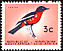 Crimson-breasted Shrike Laniarius atrococcineus  1961 Definitives 