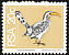 Southern Yellow-billed Hornbill Tockus leucomelas  1974 Definitives 