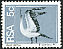 Cape Gannet Morus capensis  1974 Definitives 