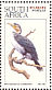 White-breasted Cormorant Phalacrocorax lucidus  1997 Waterbirds, Ilsapex 98 Sheet, p 14¼x14