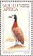 White-faced Whistling Duck Dendrocygna viduata  1997 Waterbirds, Ilsapex 98 Sheet, p 14¼x14
