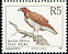Martial Eagle Polemaetus bellicosus  1997 6th definitives English bird name