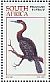 African Darter Anhinga rufa  1997 Waterbirds Booklet, p 14x14