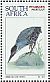 Striated Heron Butorides striata  1997 Waterbirds Booklet, p 14x14