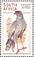 Pale Chanting Goshawk Melierax canorus  1998 South African raptors Booklet