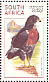 Jackal Buzzard Buteo rufofuscus  1998 South African raptors Booklet