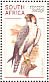 Lanner Falcon Falco biarmicus  1998 South African raptors Booklet