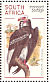 White-headed Vulture Trigonoceps occipitalis  1998 South African raptors Sheet