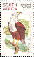 African Fish Eagle Haliaeetus vocifer  1998 South African raptors Booklet