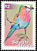 Lilac-breasted Roller Coracias caudatus  2000 7th definitive series 27v set