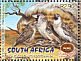 Sociable Weaver Philetairus socius  2001 Kgalagadi transfrontier park 2v sheet