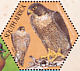 Peregrine Falcon Falco peregrinus  2004 SAPOA Sheet