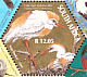 Western Cattle Egret Bubulcus ibis  2004 SAPOA Sheet