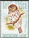 African Barred Owlet Glaucidium capense  2007 Owls Sheet with 2 sets