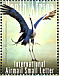 Blue Crane Grus paradisea  2008 The big 5 of birds Sheet with 2 sets