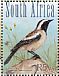Buff-streaked Chat Campicoloides bifasciatus  2010 Grassland birds of South Africa Sheet with 2 sets