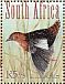White-winged Flufftail Sarothrura ayresi  2010 Grassland birds of South Africa Sheet with 2 sets